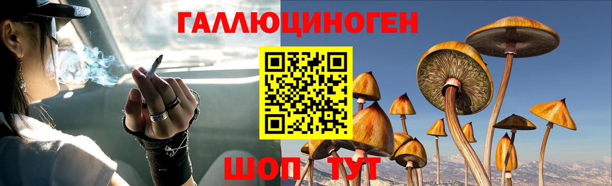 Галлюциногенные грибы Magic Shrooms Кашира
